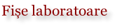 Fișe laboratoare