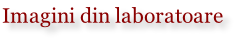 Imagini din laboratoare